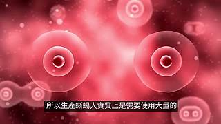 老高与小茉的睡前科普（持续更新中）