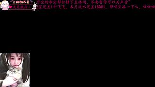 和喵喵一起观看PNC2026决赛叭~~~