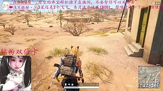 和喵喵一起观看PNC2026决赛叭~~~