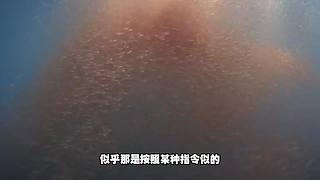 中国海钓王游钓世界