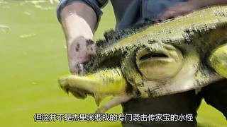 荒野求生纪录片小天地