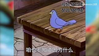 植物椿de房间的直播间