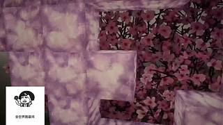 失眠症福音~~~~~~~~~~~