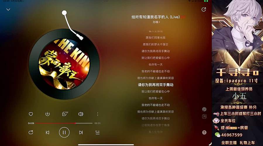 【双区帮打】带粉上分有位