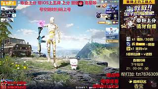 【晋级赛专业户】帮IOS上分/帮打