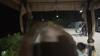 06 伤害男人的事情我做不到