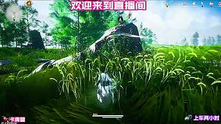 武学修炼，高效升级途径