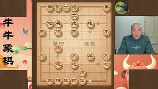 牛牛象棋直播中