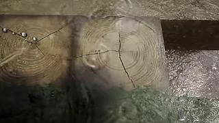 失眠症福音~~~~~~~~~~~