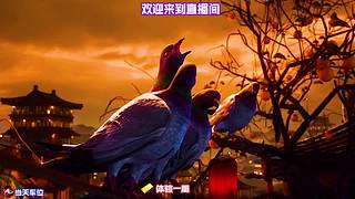 角色属性，全面提升方法