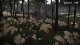 菜鸡主播，在线FH