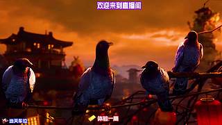 感受剧情精彩反转，带来意外惊喜