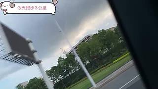小喵减肥记ovo