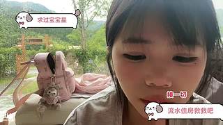 开始集训营