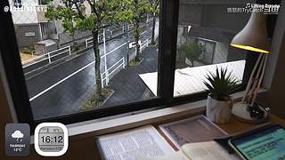 重生之奋发涂墙
