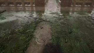 失眠症福音~~~~~~~~~~~