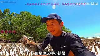 【黄金双倍】7月第一天就收到树哥的公爵~