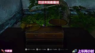 体验独特武侠玩法，享受别样乐趣
