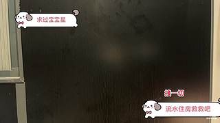 开始集训营