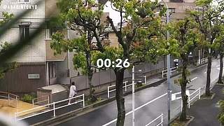 重生之奋发涂墙