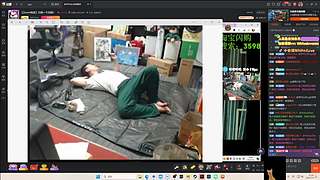 【小白鸽】勤劳的王来啦！