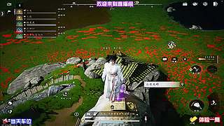 体验多样战斗策略，灵活应对战斗