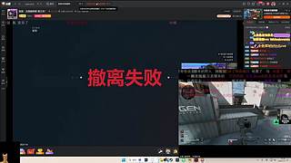 【小白鸽】勤劳的王来啦！