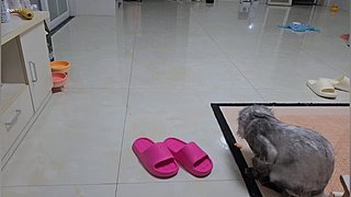 天天开心~ 12512098