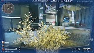 3号19点巅峰赛！！！