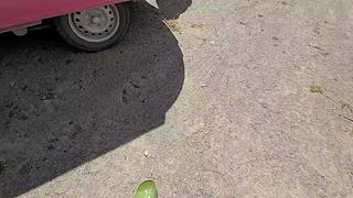 三台锤子轮播
