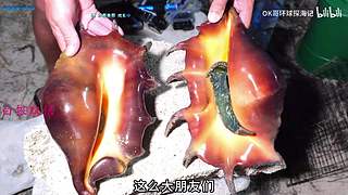 【白银双倍】7月第一天就收到树哥的公爵~