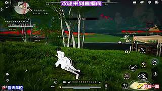 体验多样战斗策略，灵活应对战斗