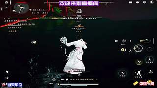 体验多样战斗策略，灵活应对战斗