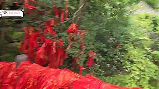 爽玩张家界！