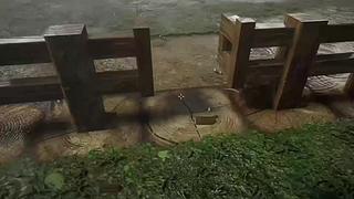 失眠症福音~~~~~~~~~~~