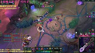 窝类同雷丸     7362647