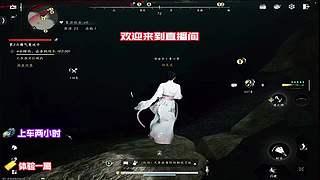 争夺稀有武学秘籍，提升武学造诣