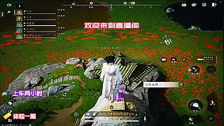 争夺稀有武学秘籍，提升武学造诣