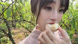 麻团新主播