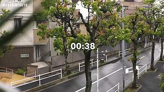 重生之奋发涂墙