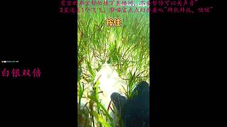 KUN联名道具&专属兑换码，7.9开领。