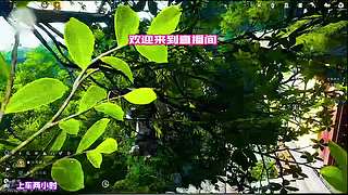 习得传音之术无人愿听言说