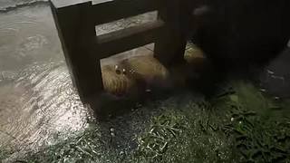 失眠症福音~~~~~~~~~~~