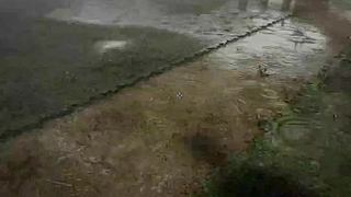 失眠症福音~~~~~~~~~~~