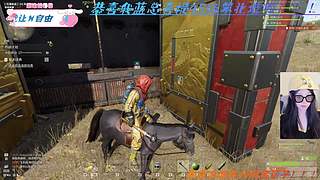 【小奶团】失控了！！！