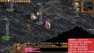 无双手游:主播码WS3674