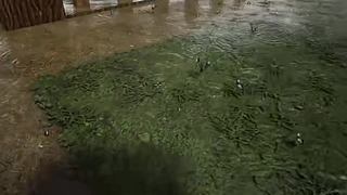 失眠症福音~~~~~~~~~~~