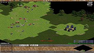 欢迎来到晴晴直播间