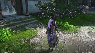 小白求关注 11713801
