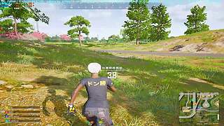 训练赛与排位